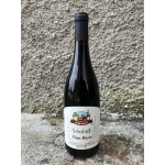 vino_sebastian_bott__750_ml_rosso